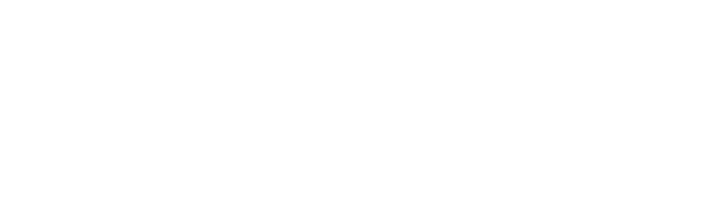 Patriot Angels Logo
